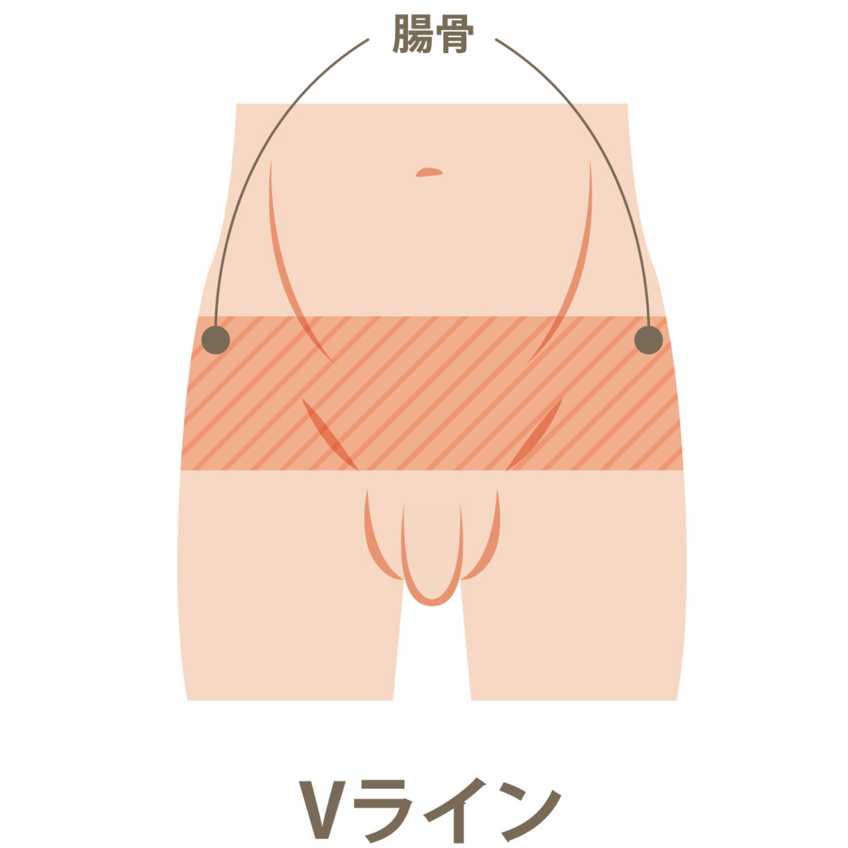 Vライン