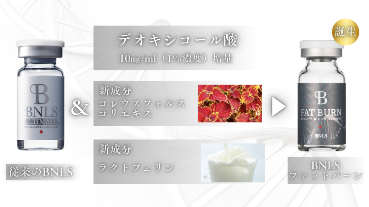 脂肪溶解注射（BNLSファットバーン）の仕組み